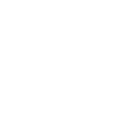 Let Curiosity Lead
